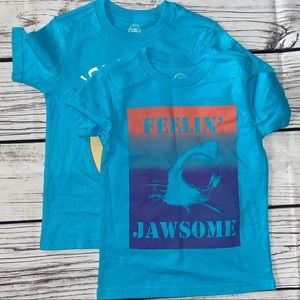 Wonder Nation Boys 2-pk Graphic Tee Shirts XS (4-5) Turquoise